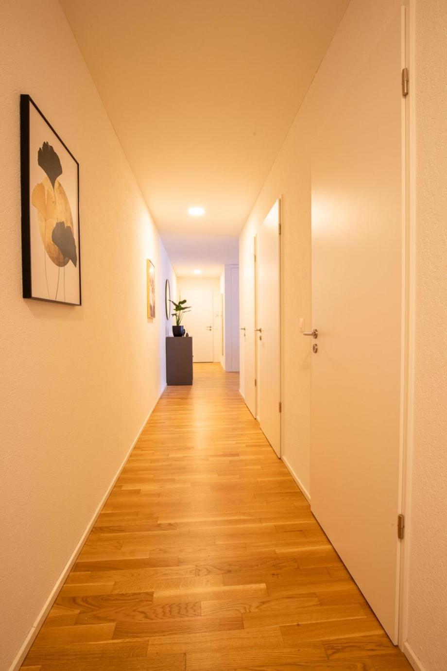 Special Einstein I Apartment Basel, Messe Kleinbasel 10-Star Kültér fotó