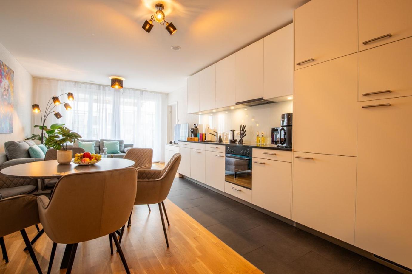 Special Einstein I Apartment Basel, Messe Kleinbasel 10-Star Kültér fotó